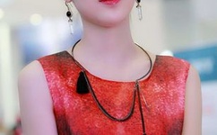 袁立为什么是劣迹艺人